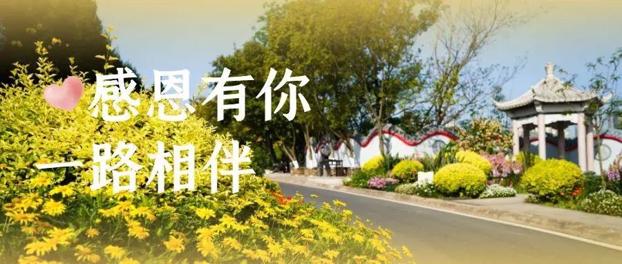 感恩節(jié)| 從心出發(fā)，感恩相伴